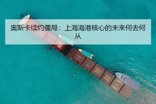 ao-si-ka-xu-yue-jiang-ju-shang-hai-hai-gang-he-xin-de-wei-lai-he-qu-he-cong-3-491.jpg