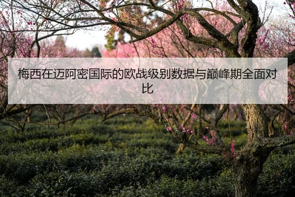 梅西在迈阿密国际的欧战级别数据与巅峰期全面对比