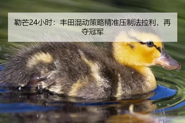勒芒24小时：丰田混动策略精准压制法拉利，再夺冠军